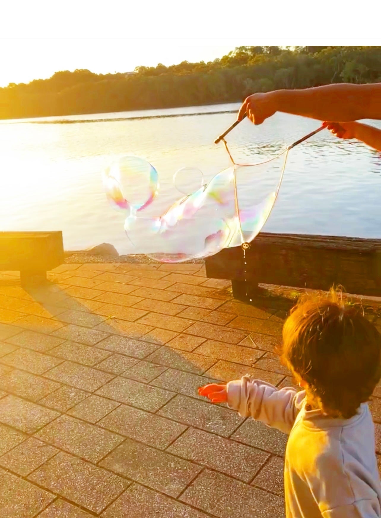 Giant Wand Bubble Kit
