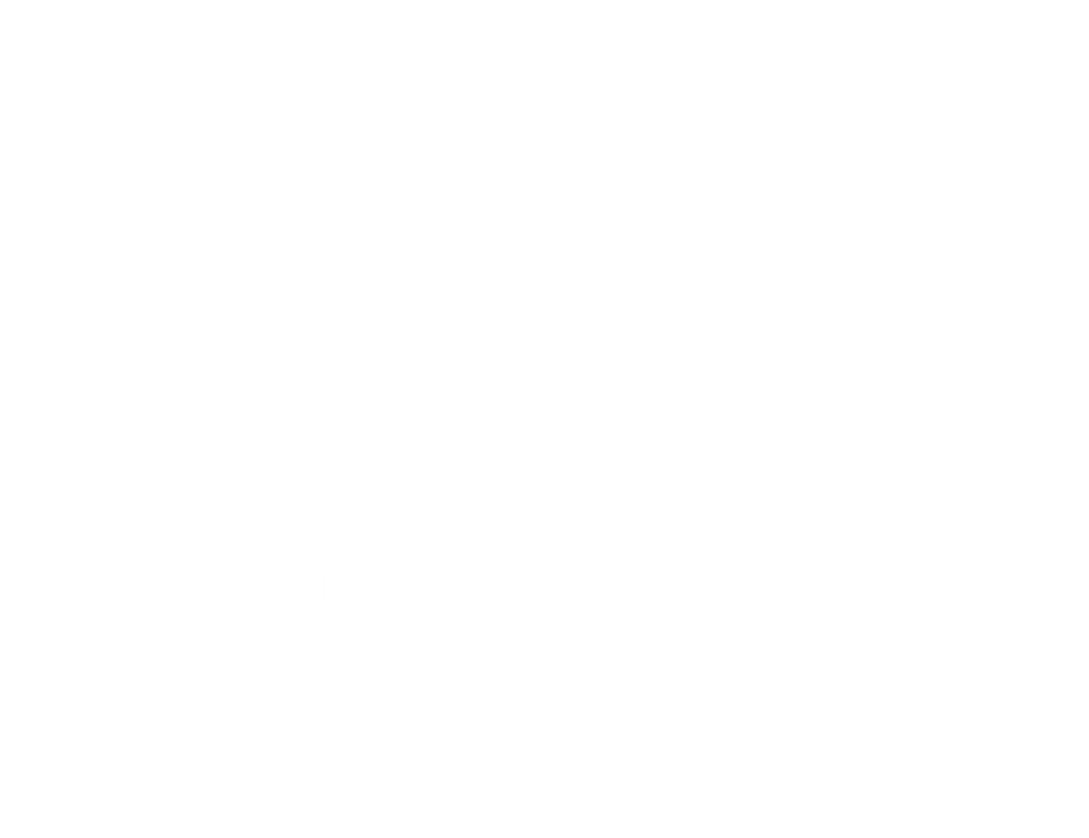 Little Toy Tribe
