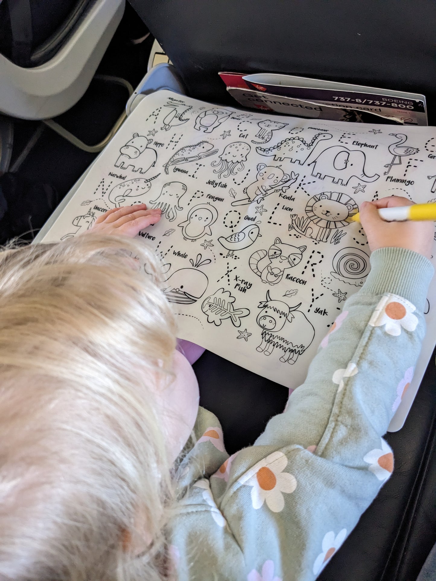 Colouring and Doodle Mat - Into The Wild