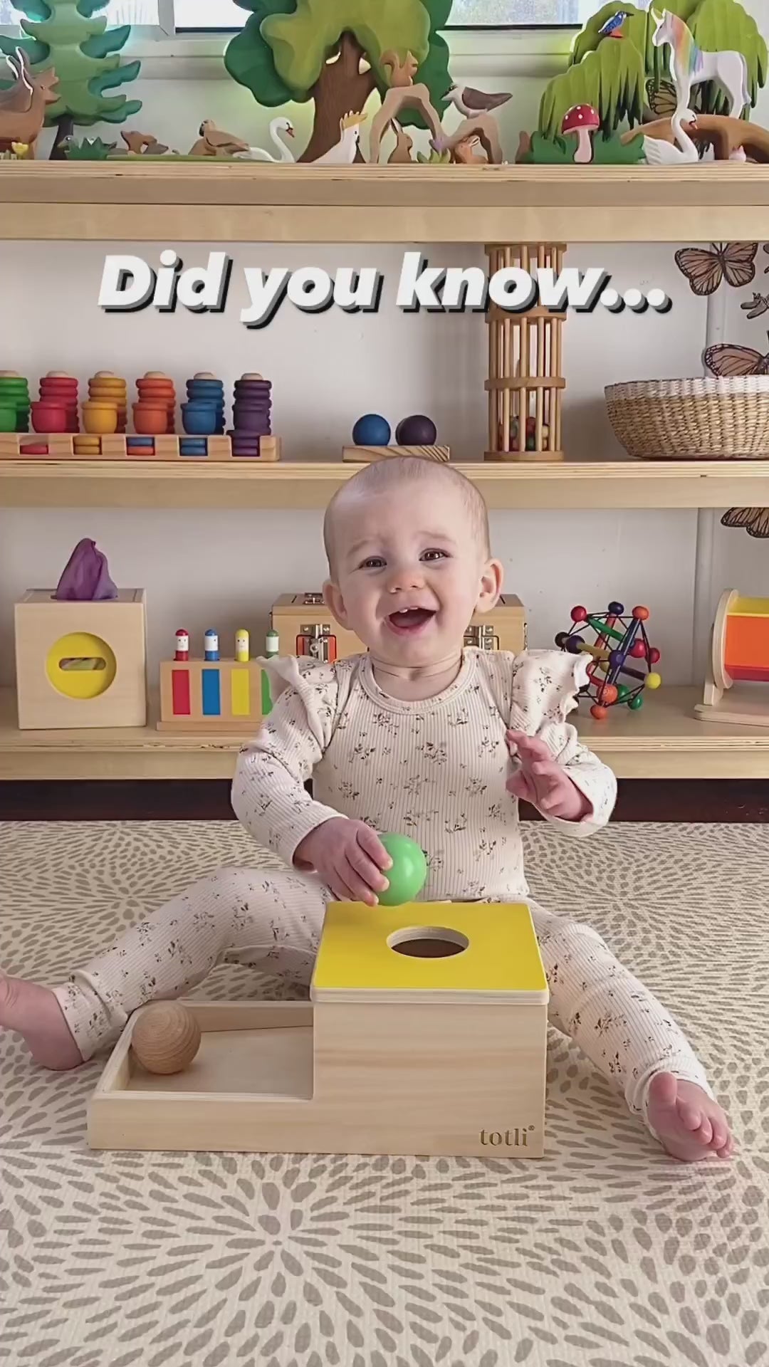 Load and play video in Gallery viewer, The Ball Drop