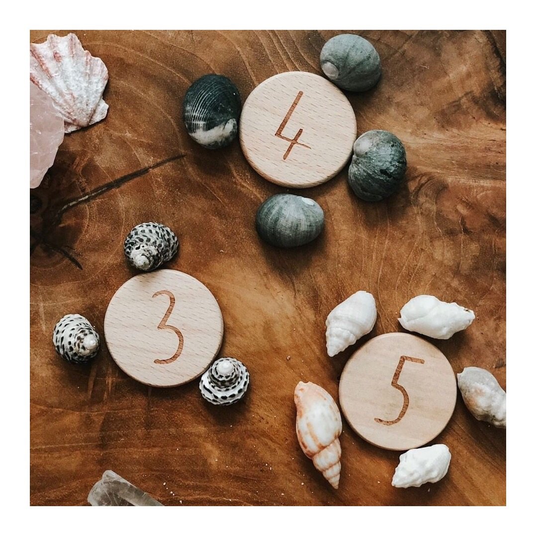 Elle Collective _ NumberDots on Log Close Up _ Little Toy Tribe