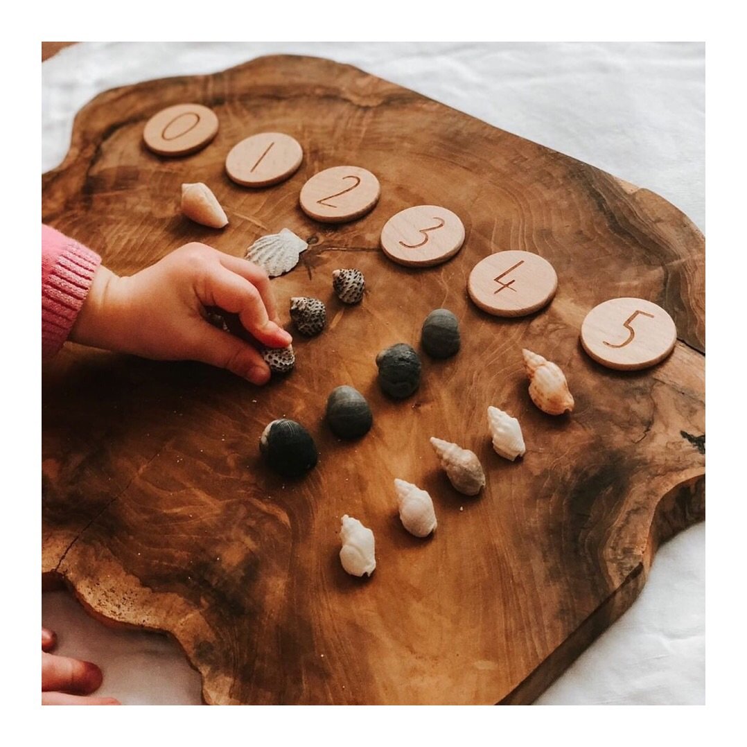 Elle Collective _ NumberDots on Log _ Little Toy Tribe