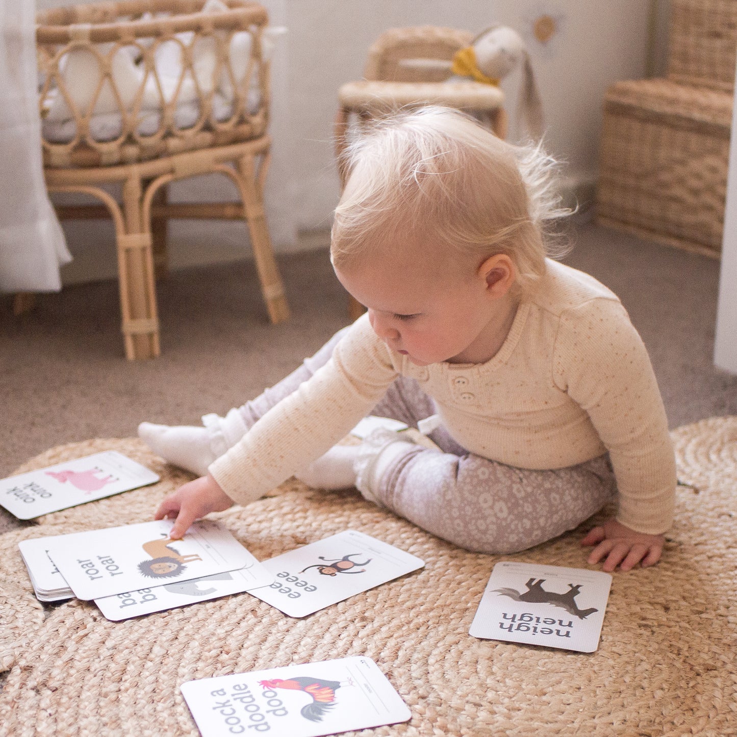 Animal Sound Flash Cards