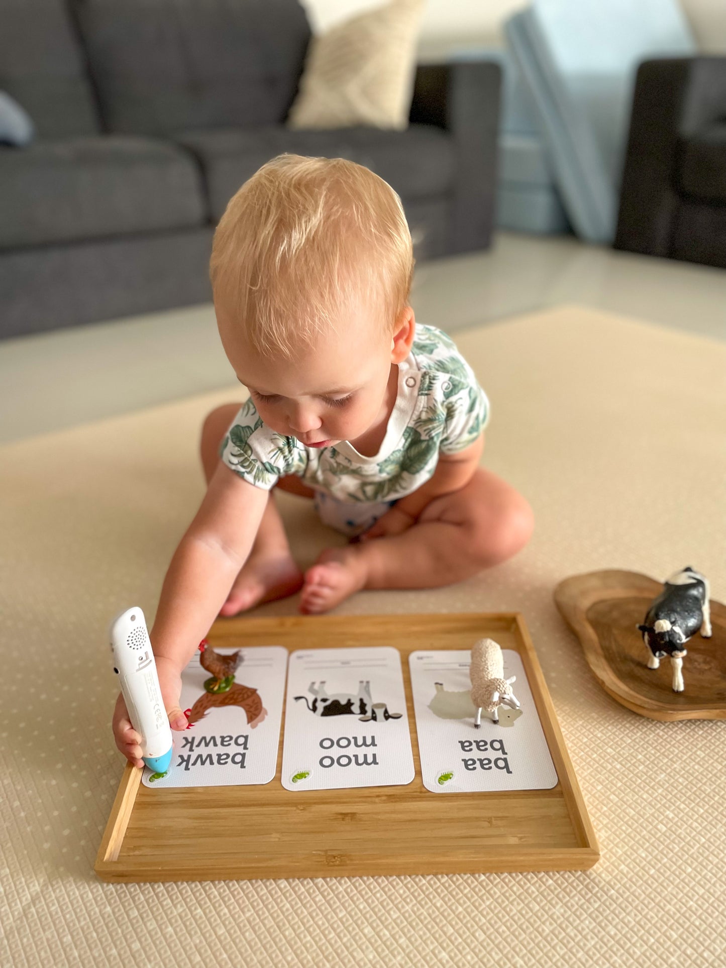 Animal Sound Flash Cards