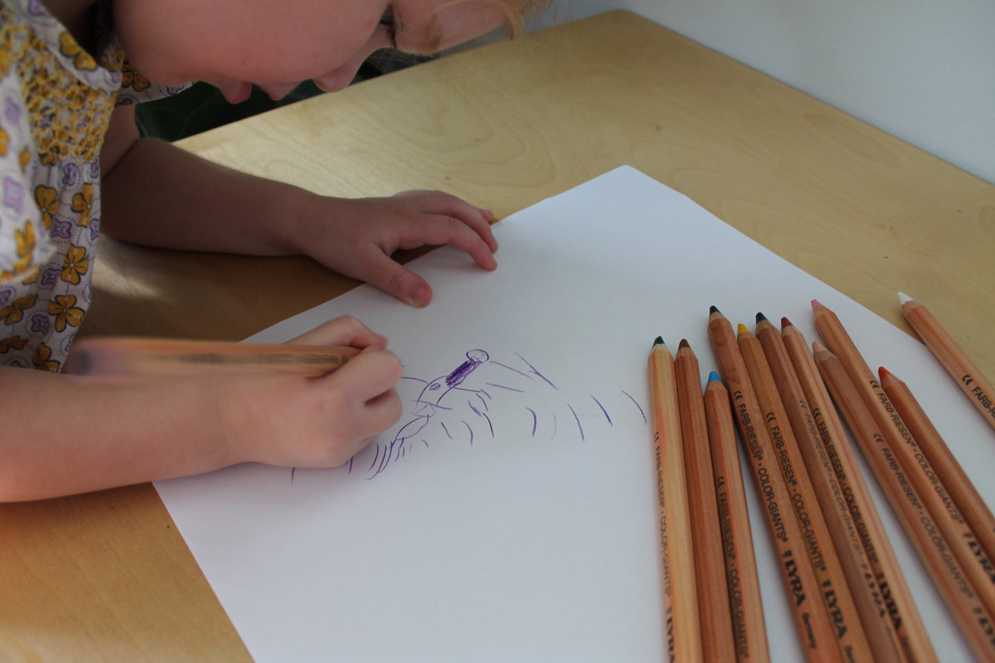 Lyra pencils little toy tribe
