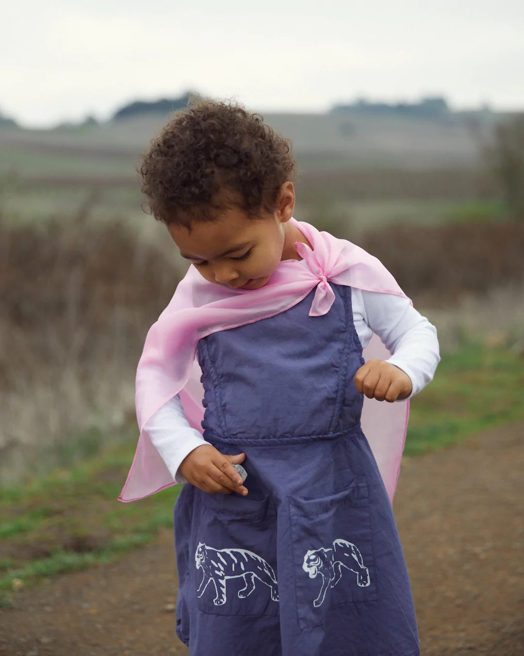 Sarah's Silks: MINI Playsilks