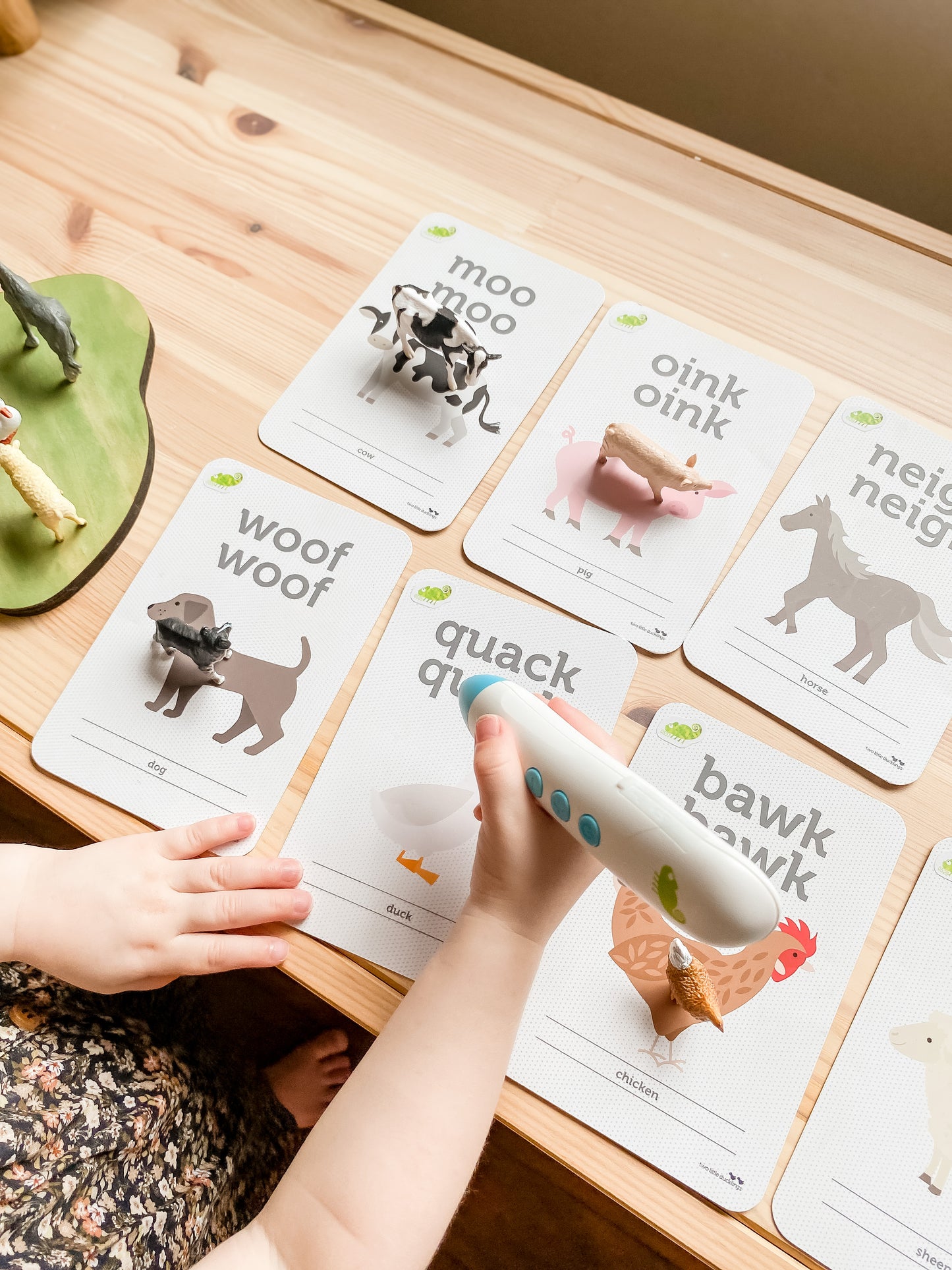 Animal Sound Flash Cards
