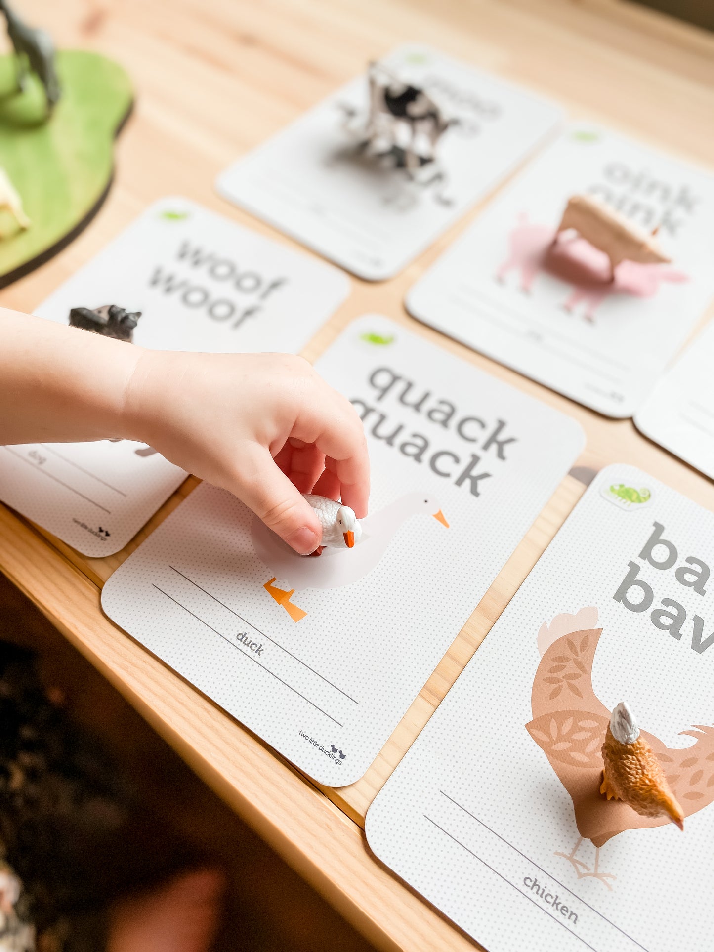 Animal Sound Flash Cards