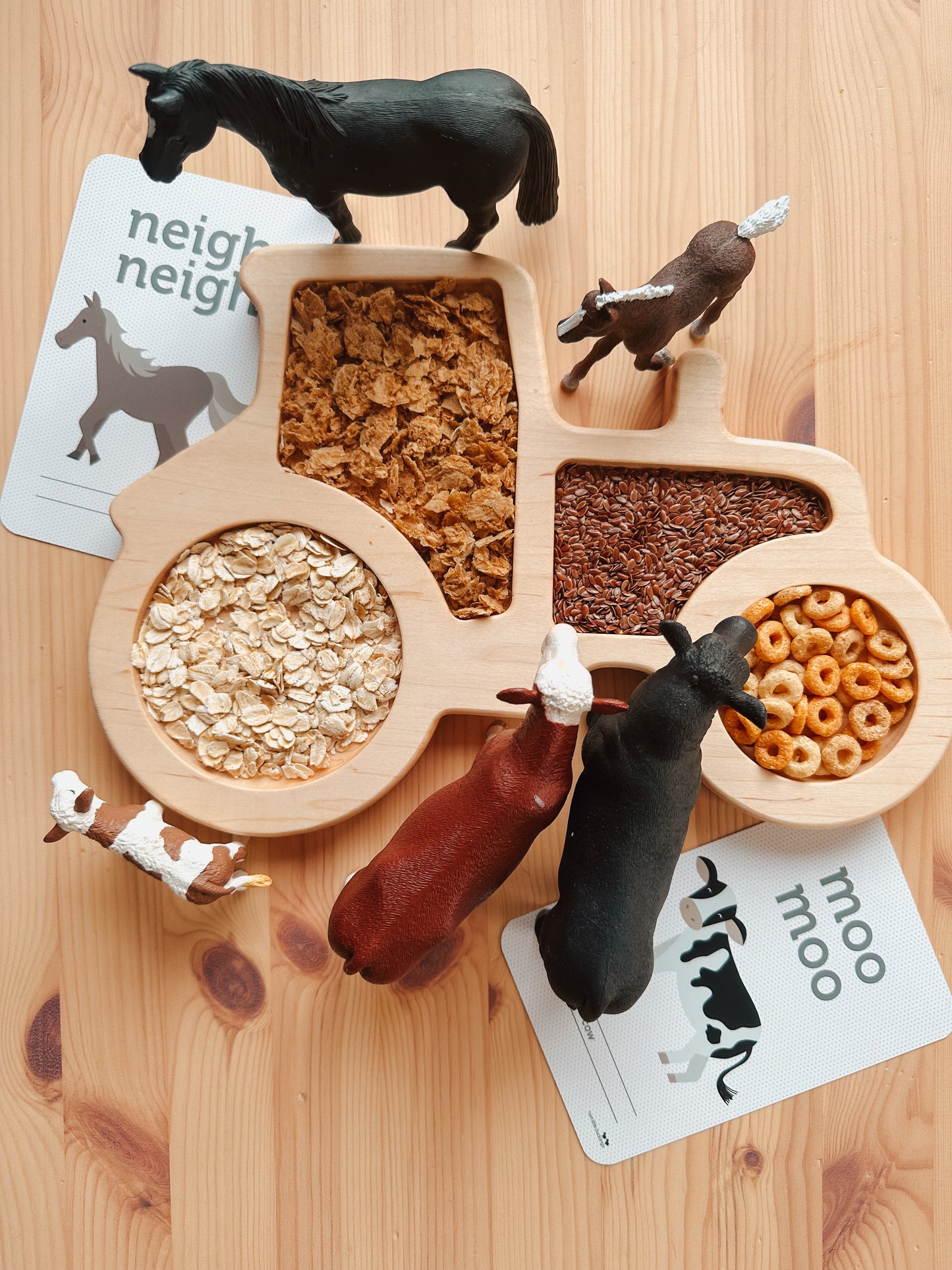 Animal Sound Flash Cards