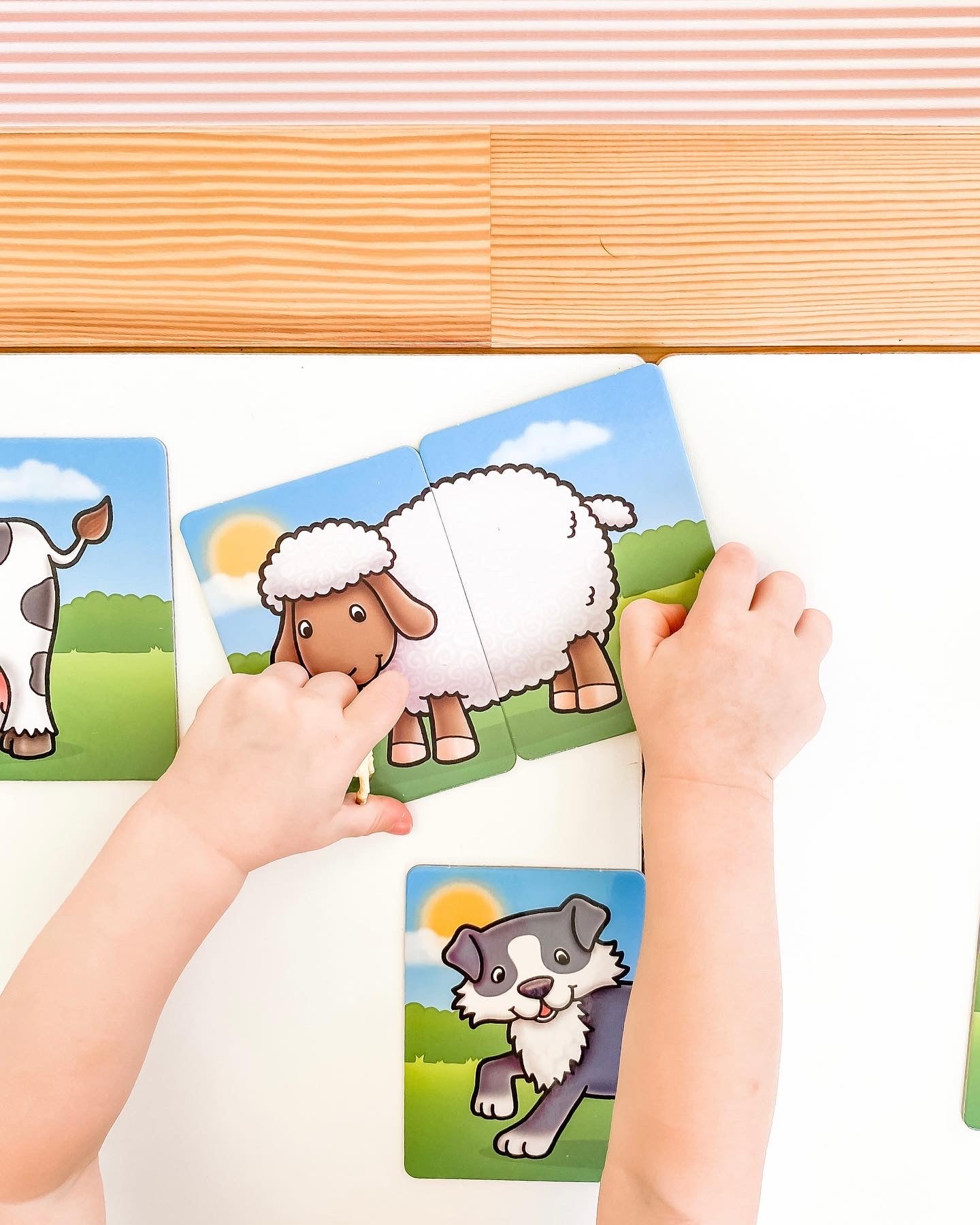 Orchard Game - Farmyard Heads and Tails