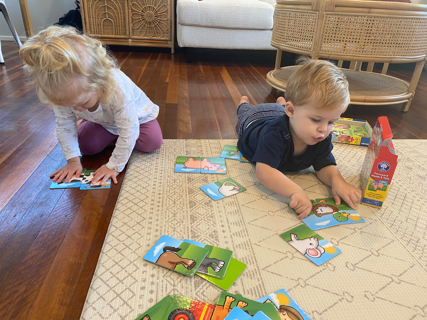 Orchard Game - Farmyard Heads and Tails