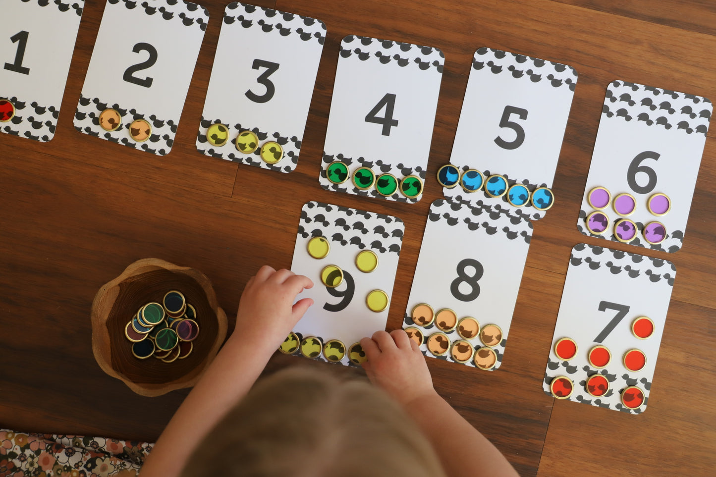 Counting and Maths Symbols Flash Cards