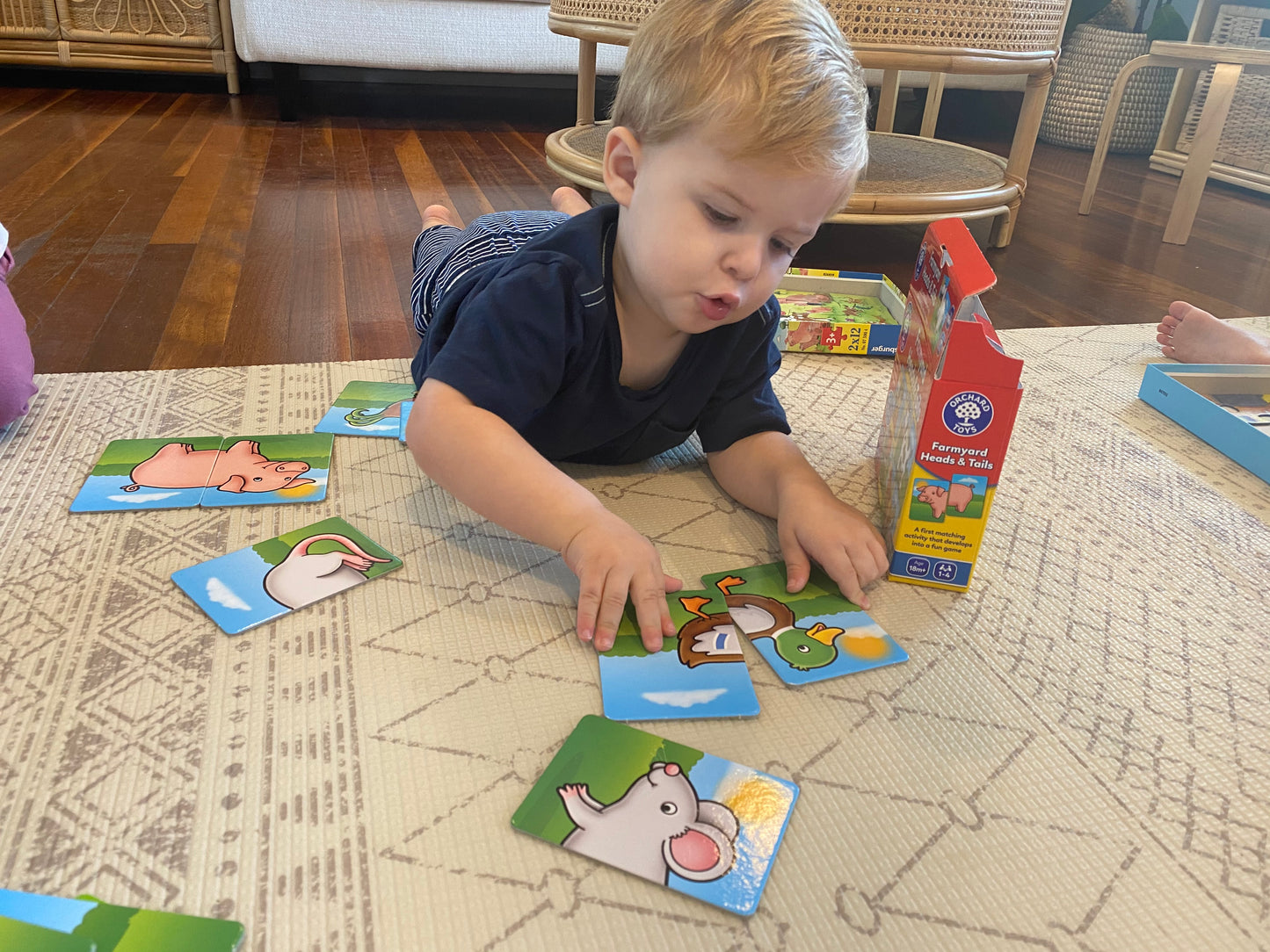 Orchard Game - Farmyard Heads and Tails