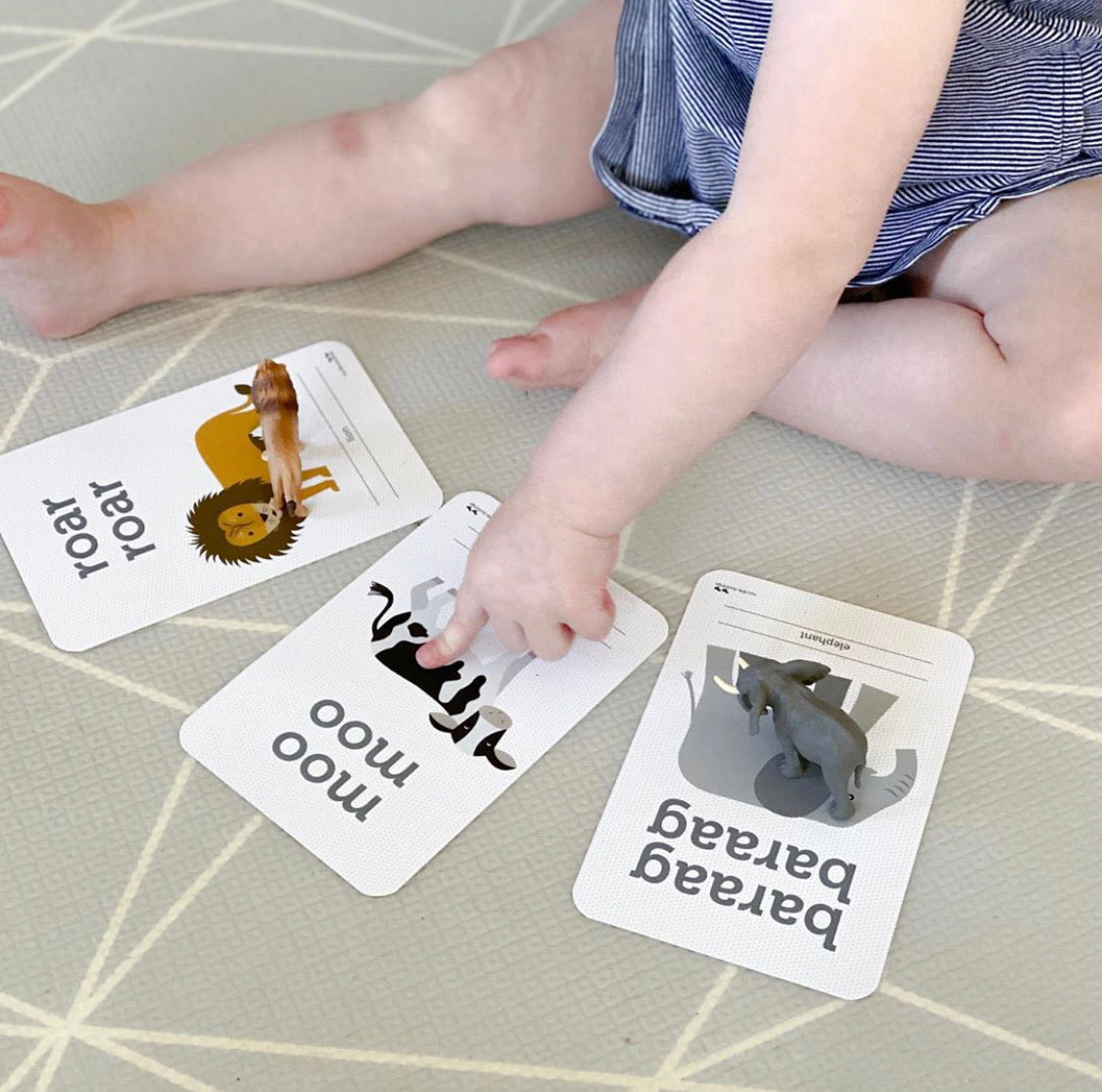 Animal Sound Flash Cards