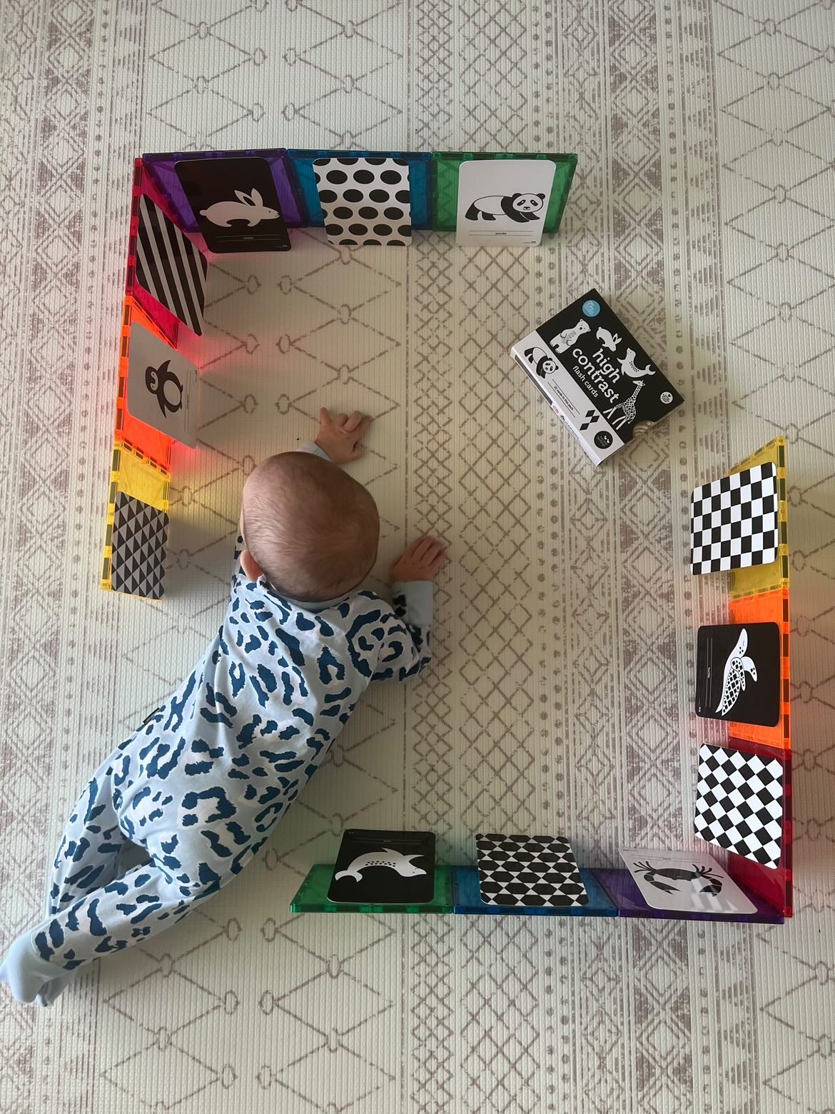 High Contrast Flash Cards