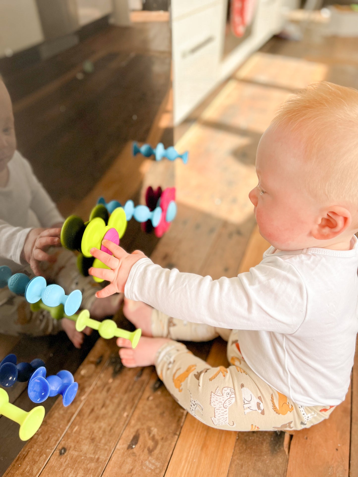Squigz Starter Set