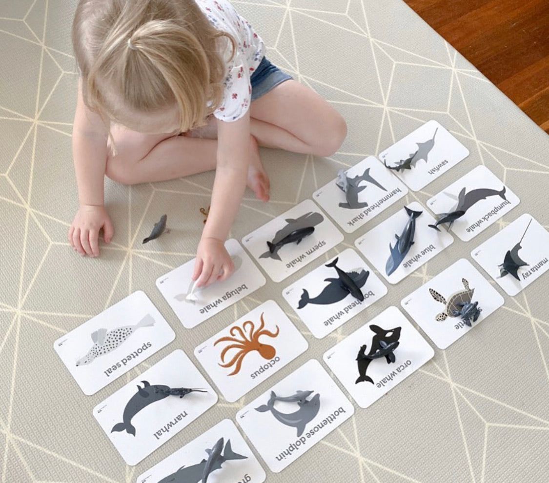 CollectA Tube - Sea Animals A