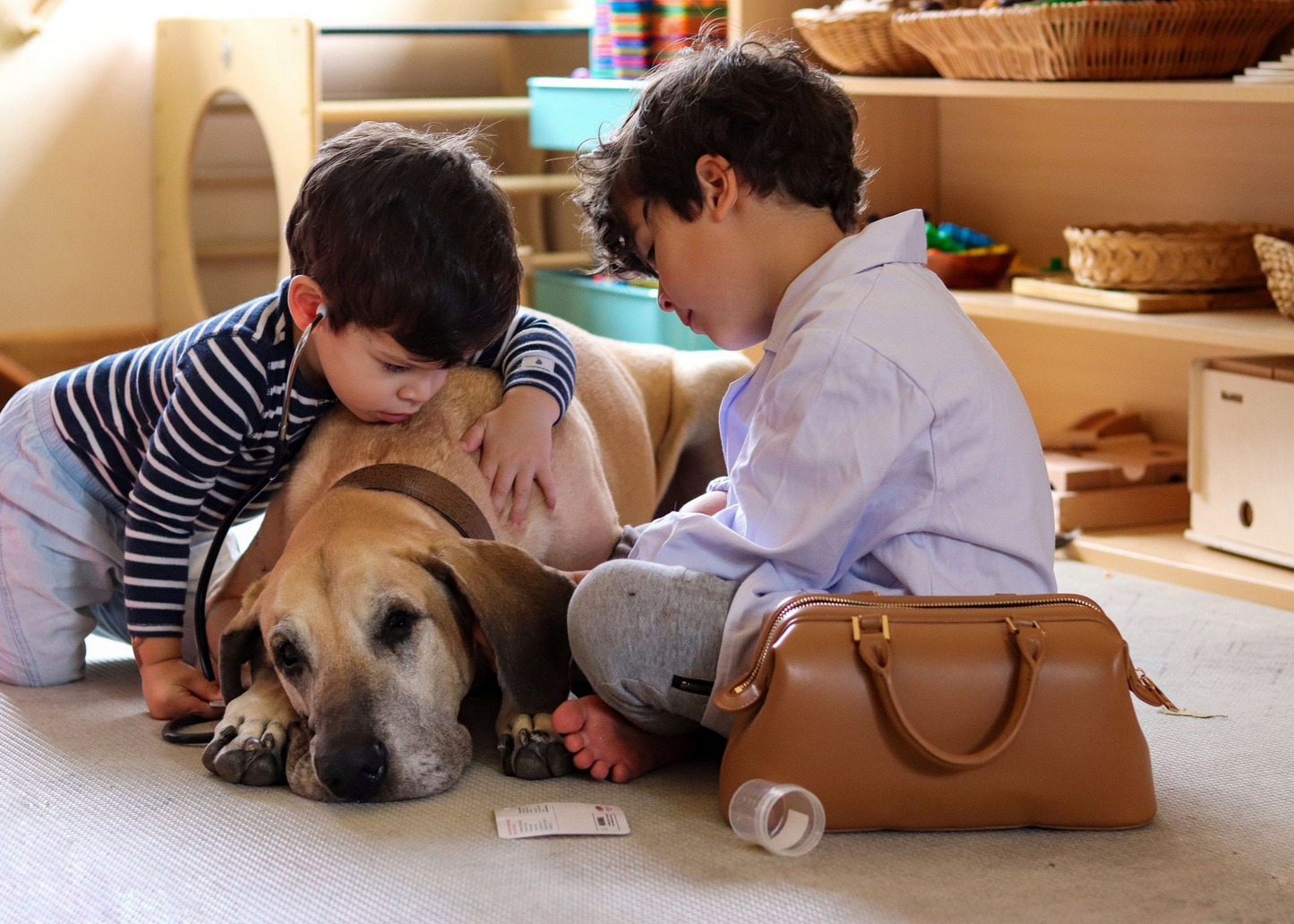 Montessori Medic Doctor's Bag