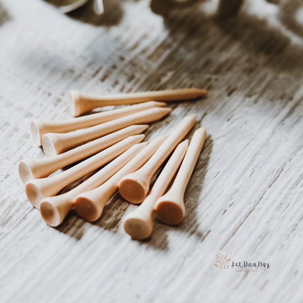 
                  
                    Wooden Nails
                  
                