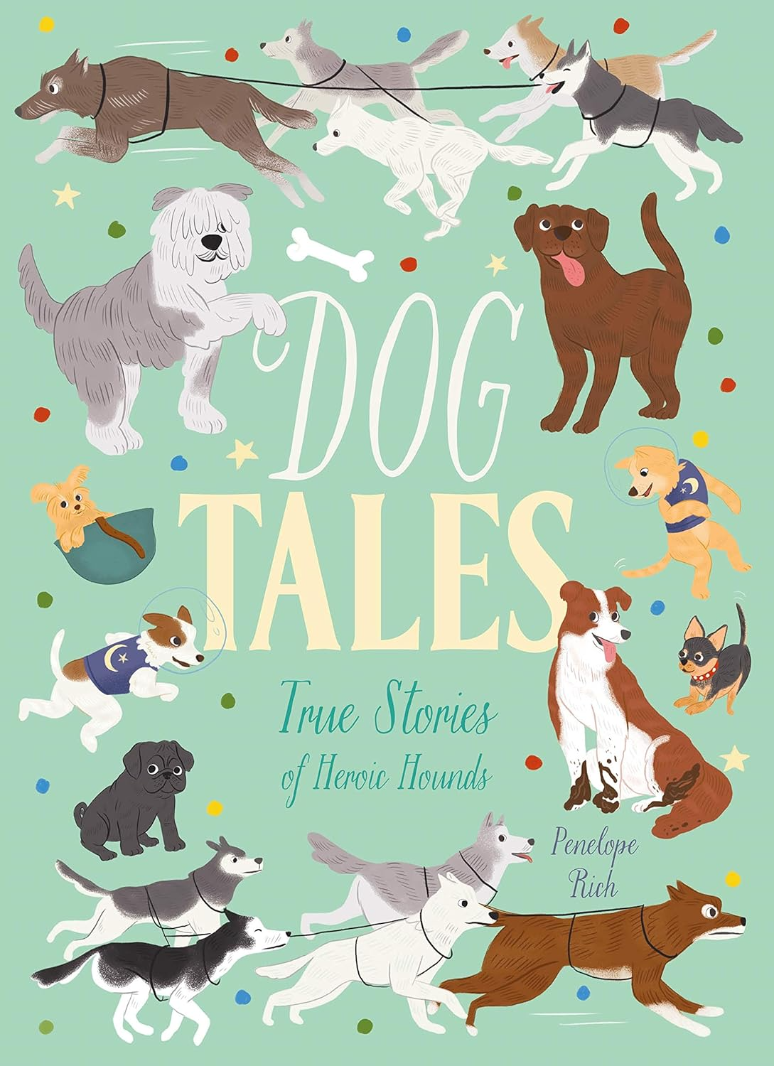 Dog Tale Rolimons Dog Tales | True Stories Picture Book | Little Toy Tribe