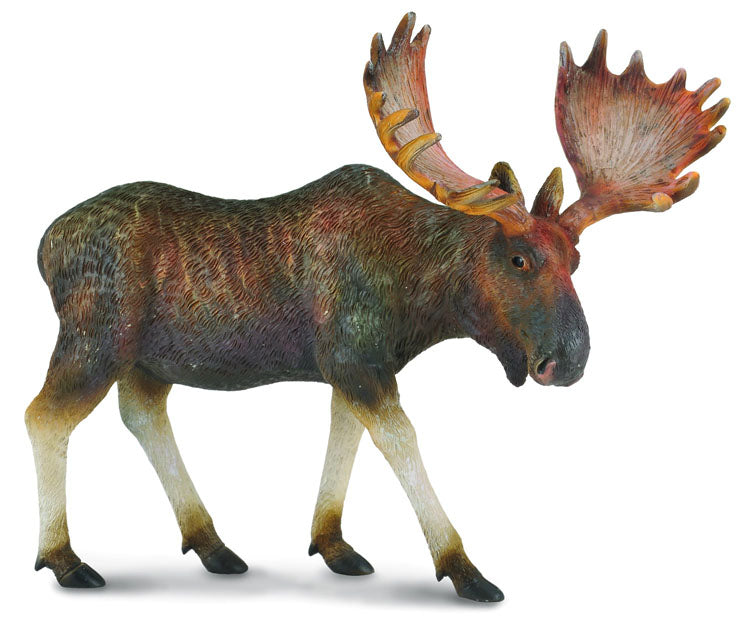 
                  
                    CollectA Single Figurines - Wild Life
                  
                