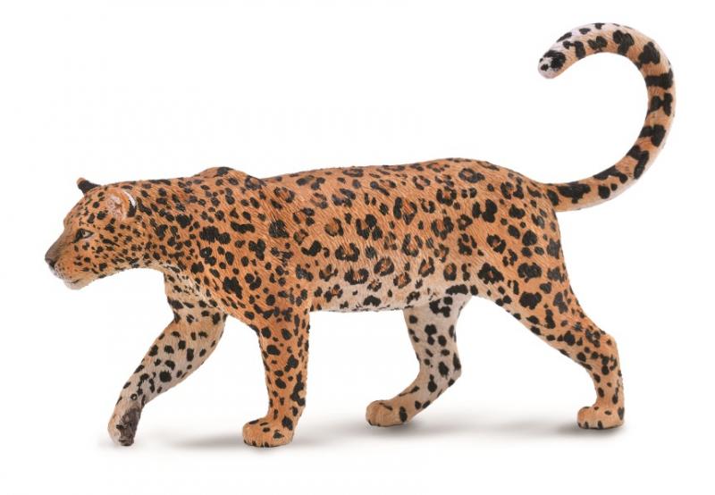 CollectA Single Figurines - Wild Life