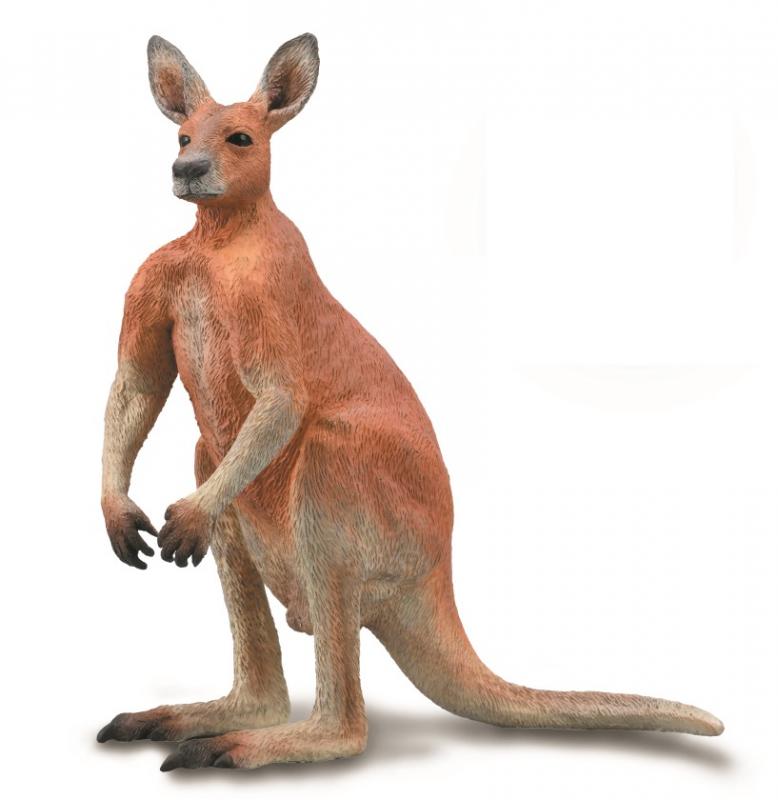 
                  
                    CollectA Single Figurines - Australian Animals
                  
                