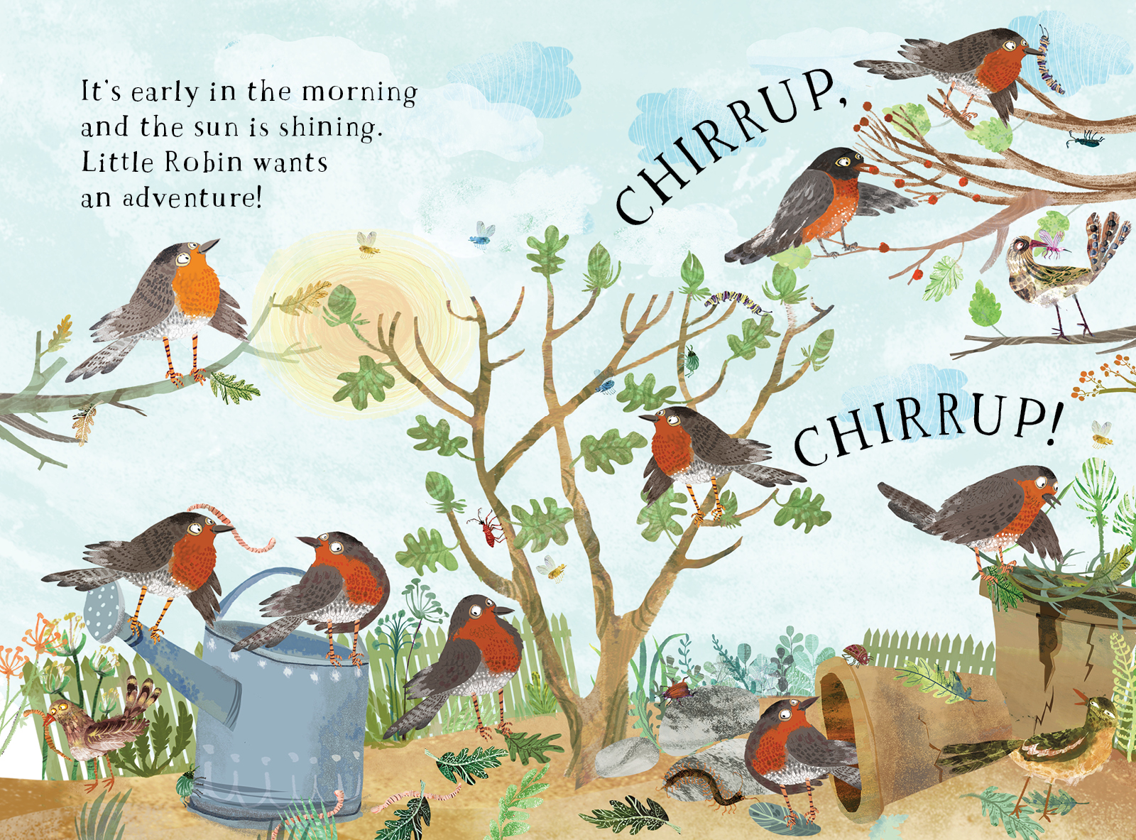 Little Robin's Book of Birds | Nature Picture Book | Little Toy Tribe
