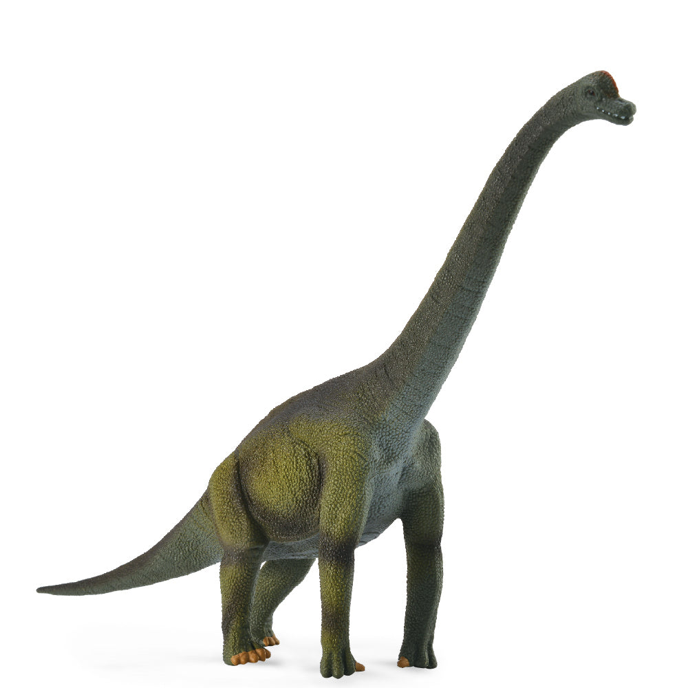 
                  
                    CollectA Single Figurines - Dinosaurs & Pre-Historic Life
                  
                