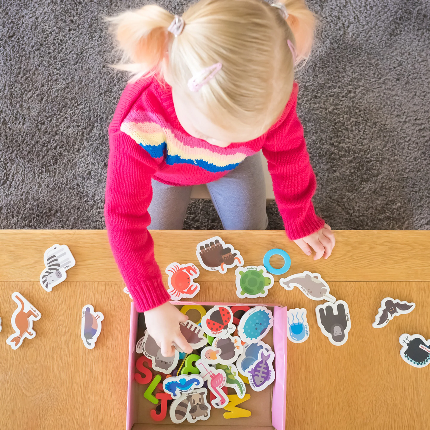 
                  
                    Magnetic Animals & Letters
                  
                