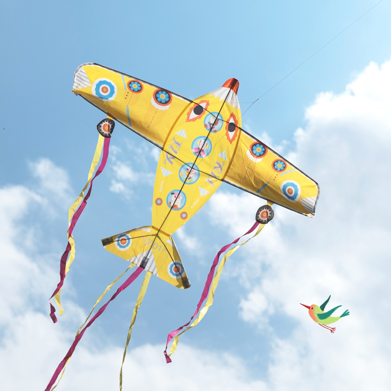 
                  
                    Maxi Plane Kite
                  
                