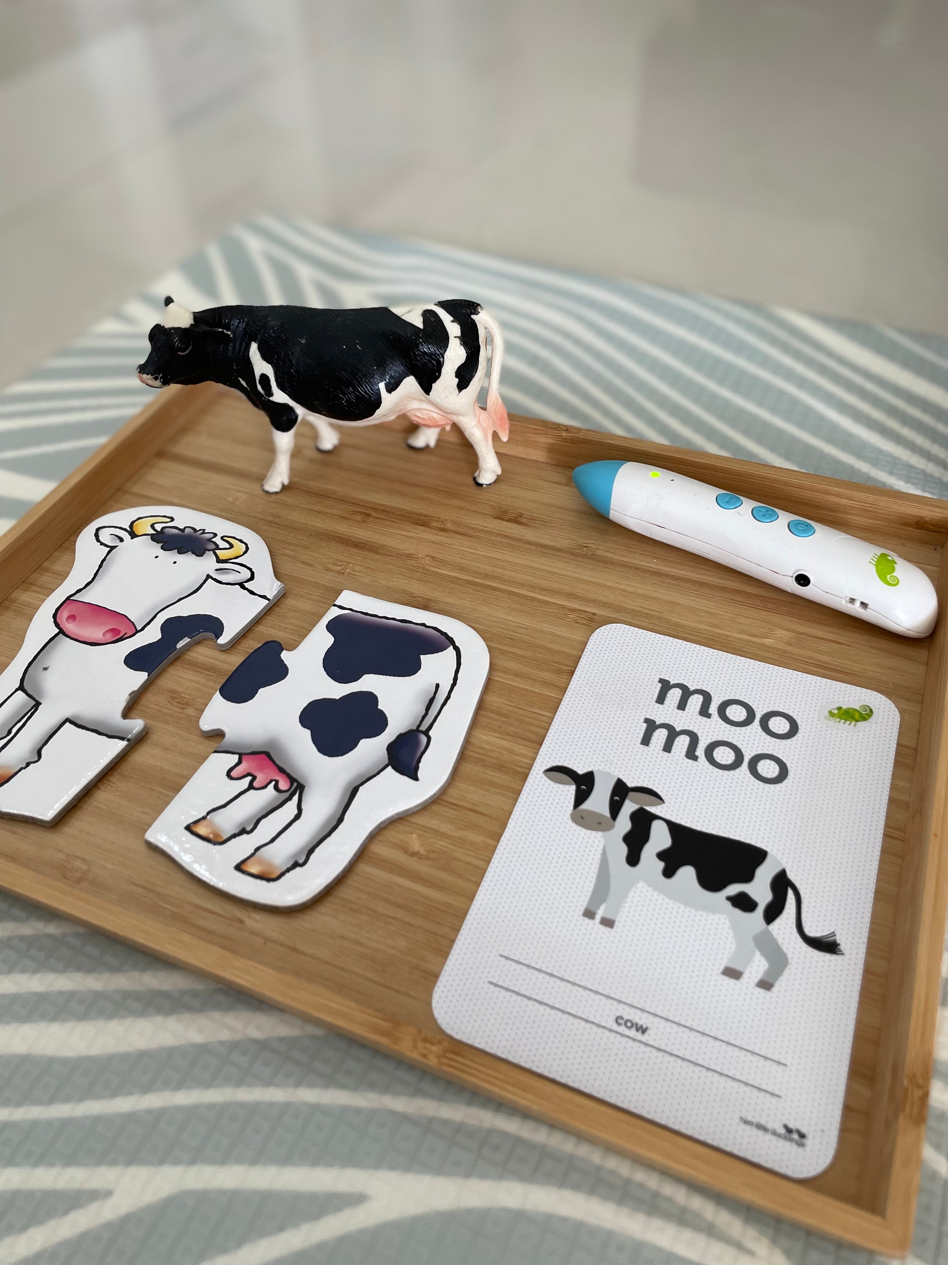 Chameleon Reader Set – Little Toy Tribe