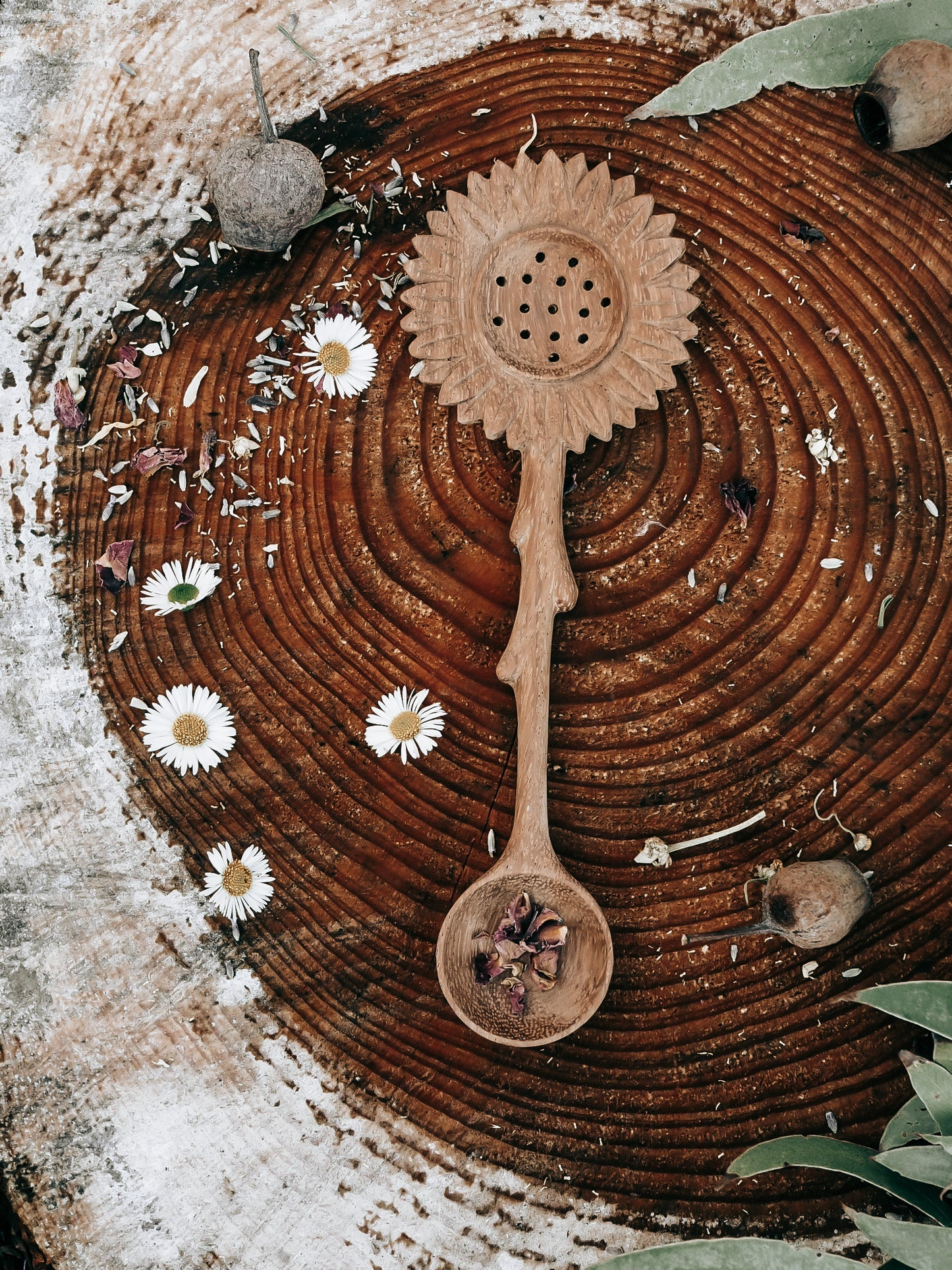 
                  
                    Sunflower Slotted Duo Spoon
                  
                