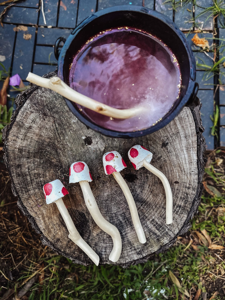 
                  
                    Fizzy Mushroom Wands - Set of 4
                  
                