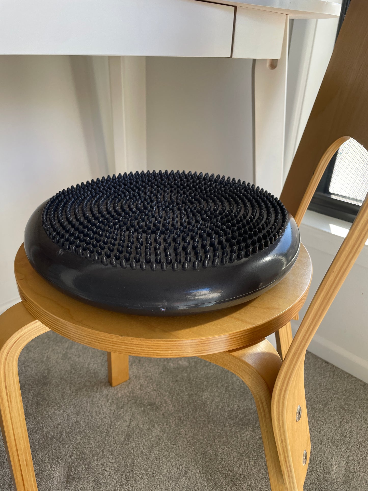 
                  
                    Wobble Cushion
                  
                