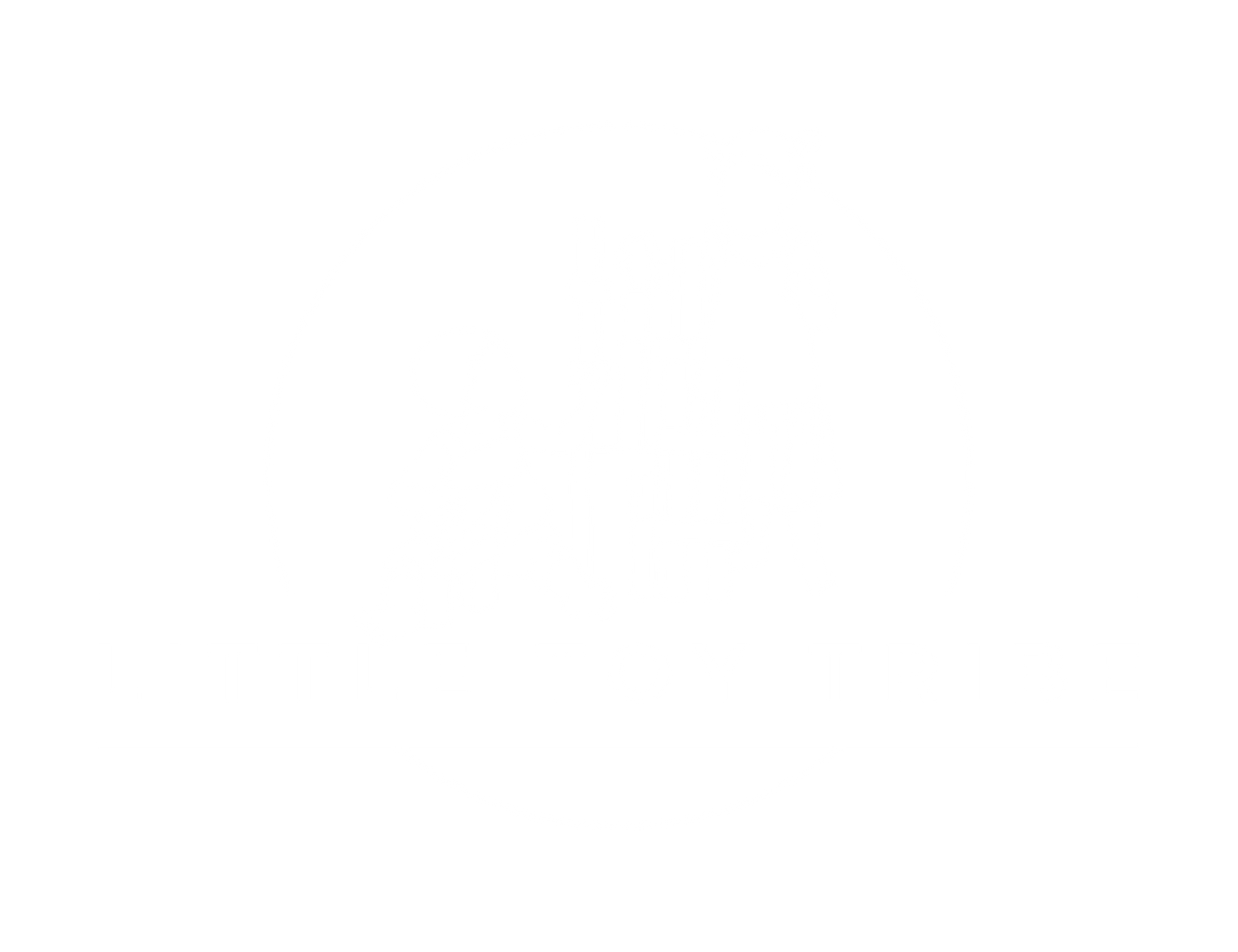 Little Toy Tribe