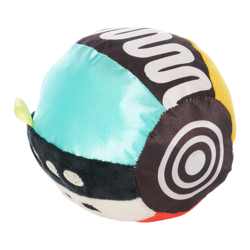 
                  
                    Wimmer Ferguson - Sensory Ball
                  
                