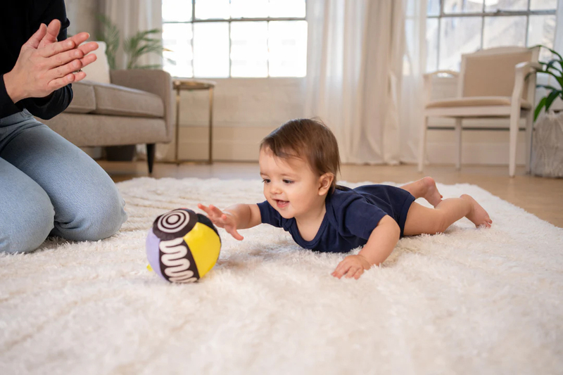 
                  
                    Wimmer Ferguson - Sensory Ball
                  
                