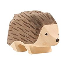 SECONDS - Ostheimer Hedgehog