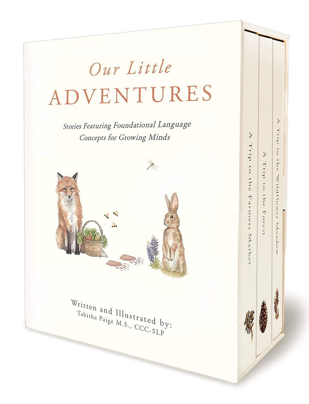 Our Little Adventures - Stories Featuring Foundational Language Concepts for Growing Minds