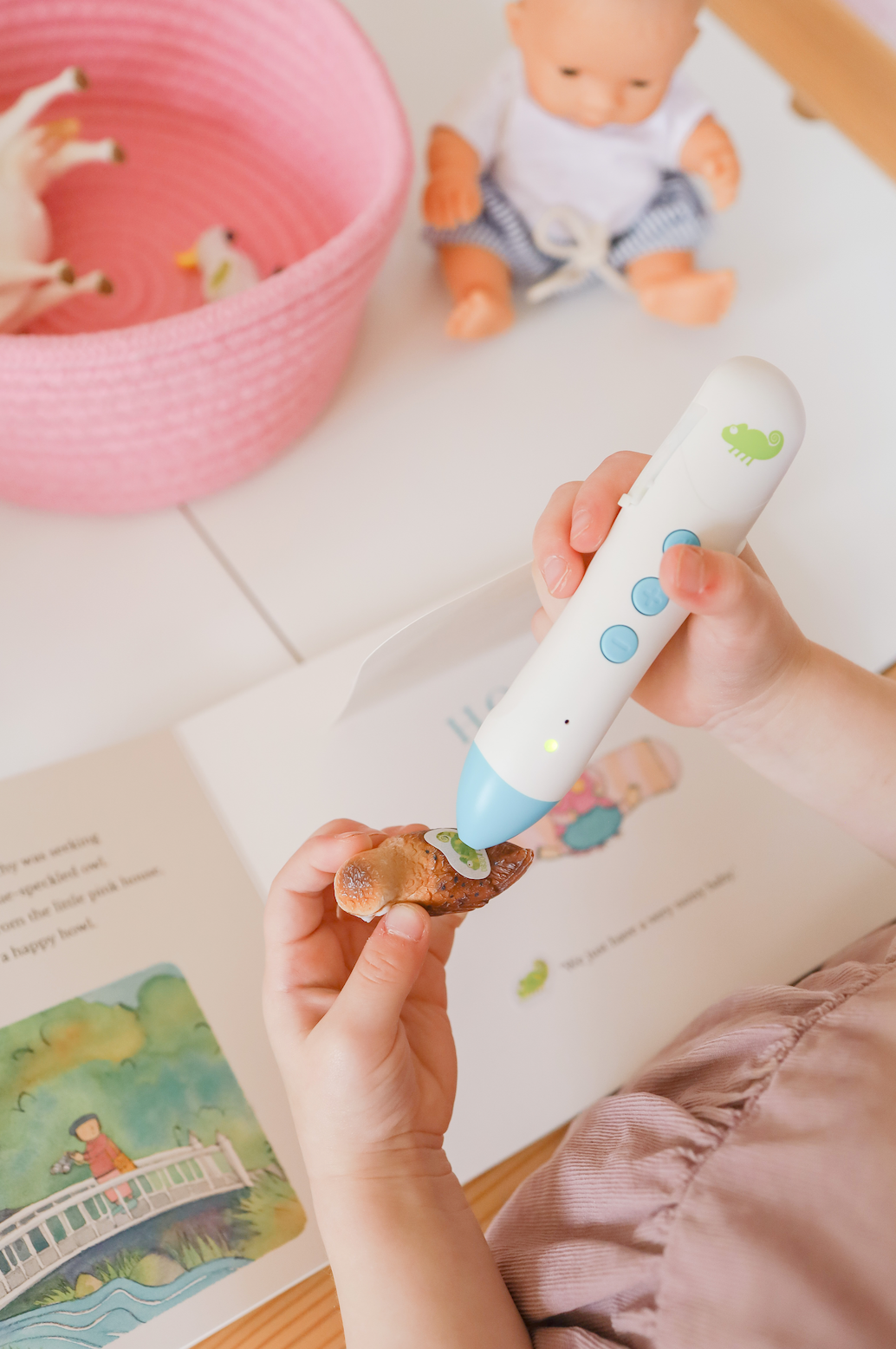 Chameleon Reader Set – Little Toy Tribe Chameleon Reader Set – Little Toy Tribe