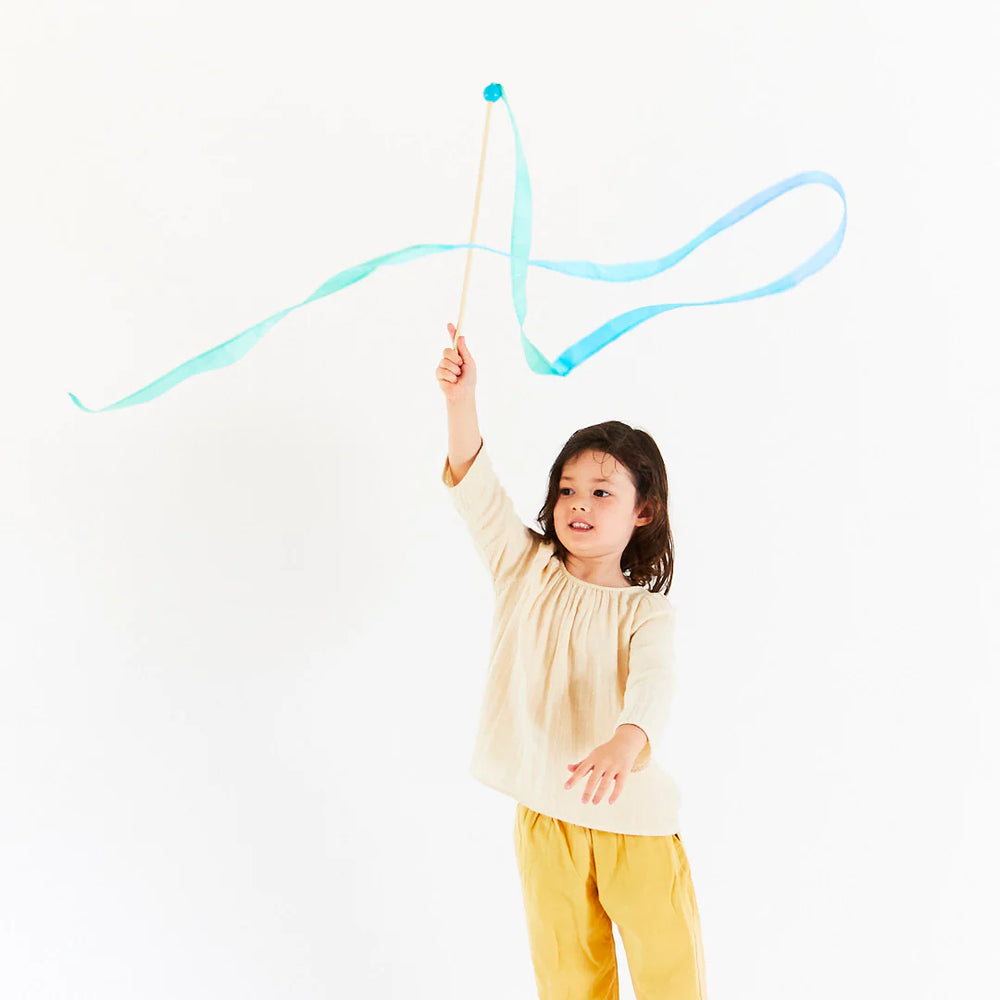 
                  
                    Sarah's Silks Large Streamer
                  
                