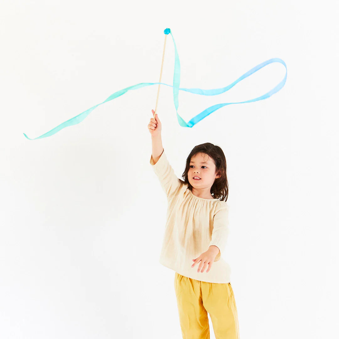 
                  
                    Sarah's Silks Large Streamer
                  
                