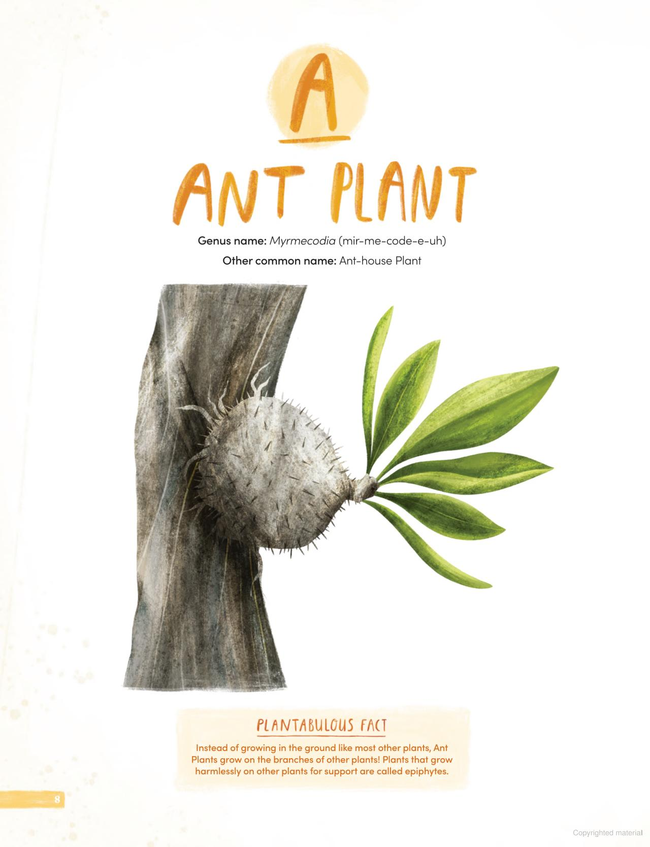 
                  
                    Plantabulous! More A to Z of Australian Plants
                  
                