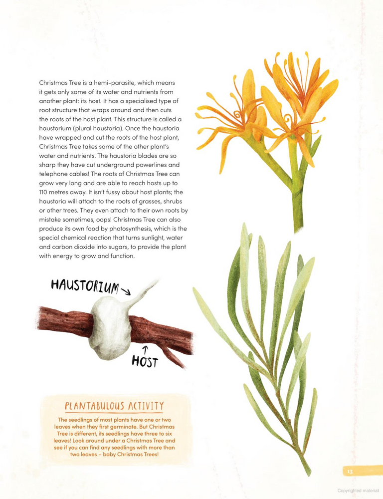 
                  
                    Plantabulous! More A to Z of Australian Plants
                  
                