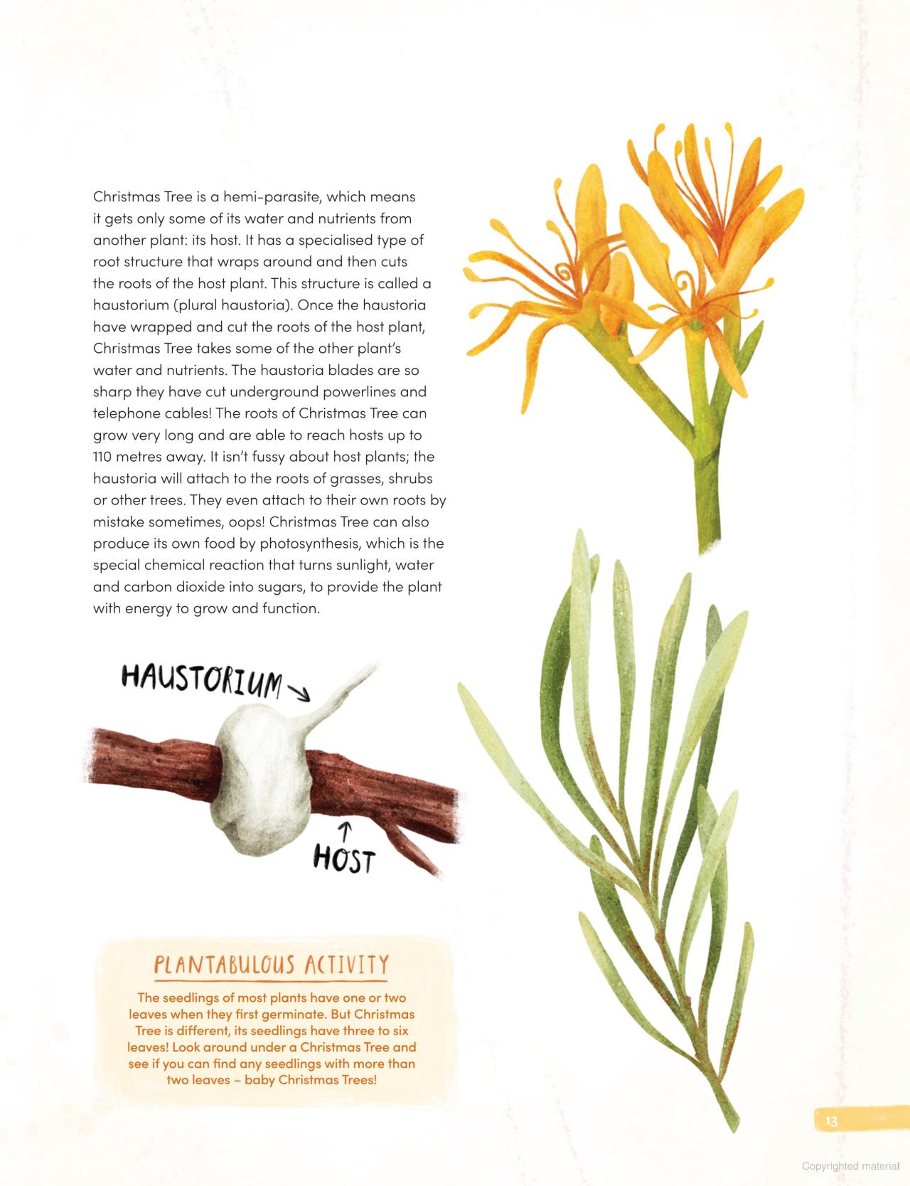 
                  
                    Plantabulous! More A to Z of Australian Plants
                  
                
