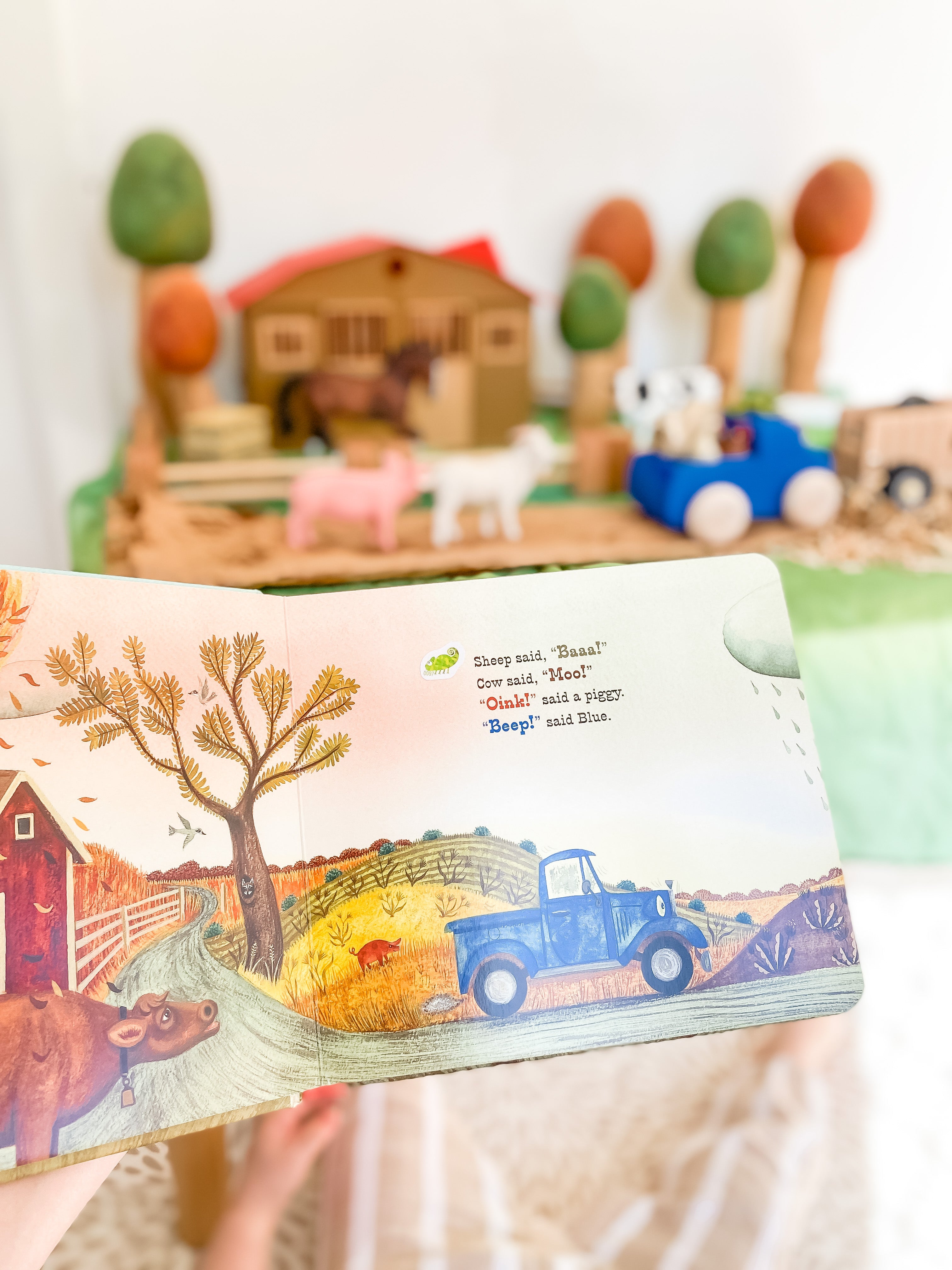 Chameleon Reader Set – Little Toy Tribe