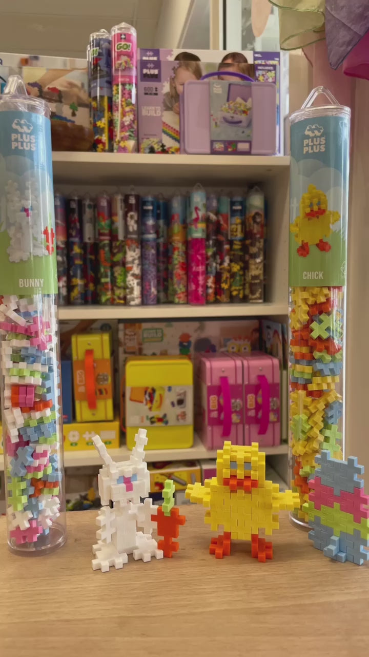 Plus Plus Tube - 100pcs