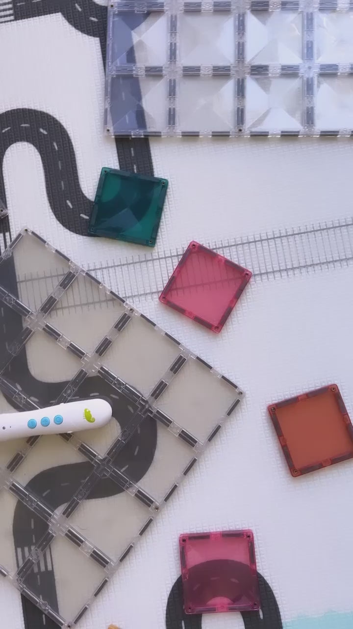 Chameleon Reader Set