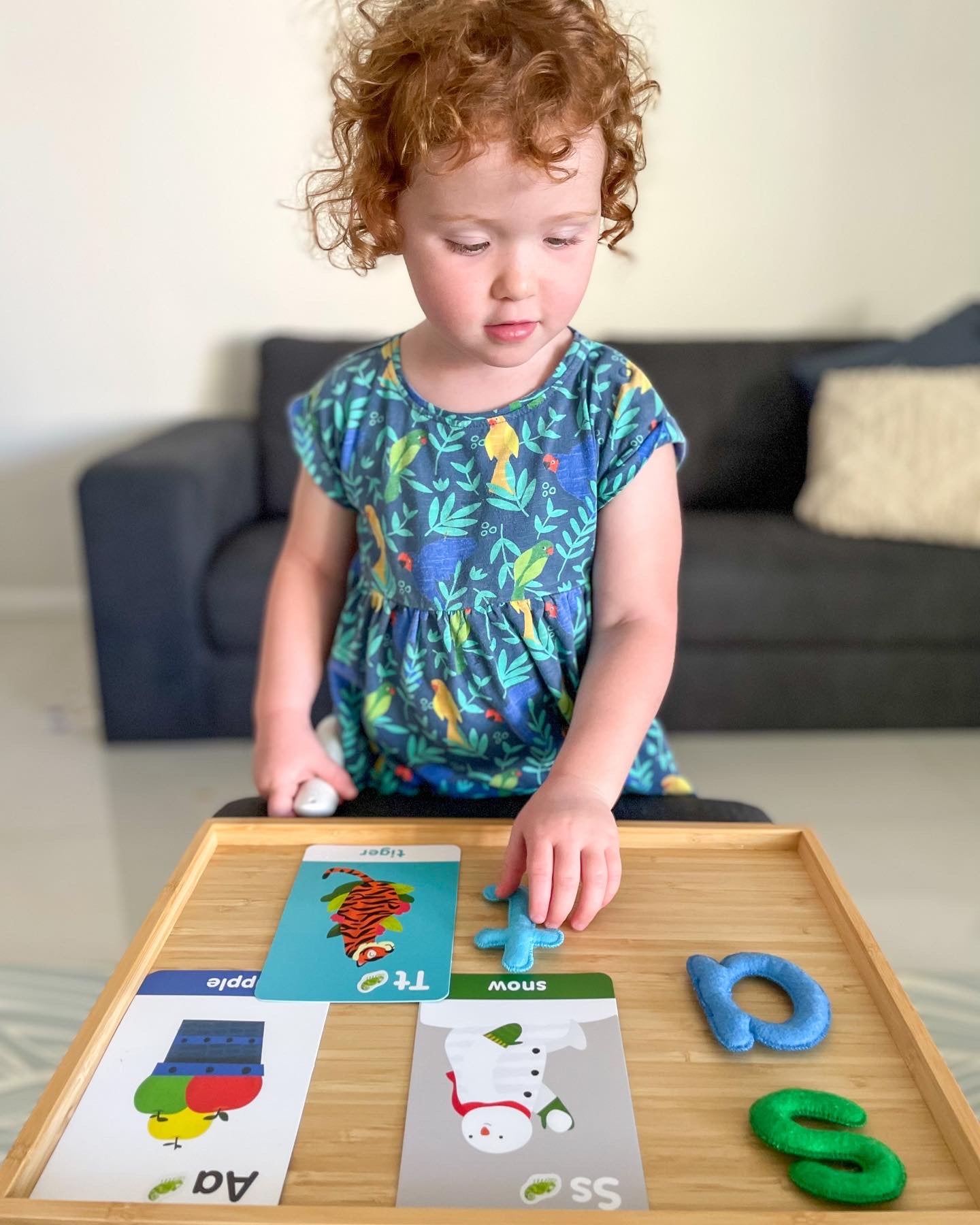 Chameleon Reader Set | Audio Reading System | Little Toy Tribe